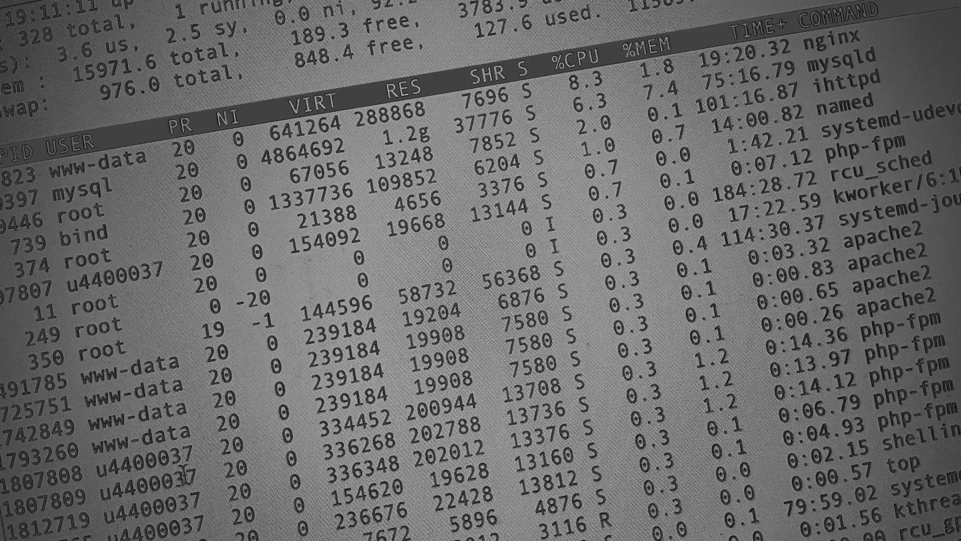 Настройка сервера в Белокурихе